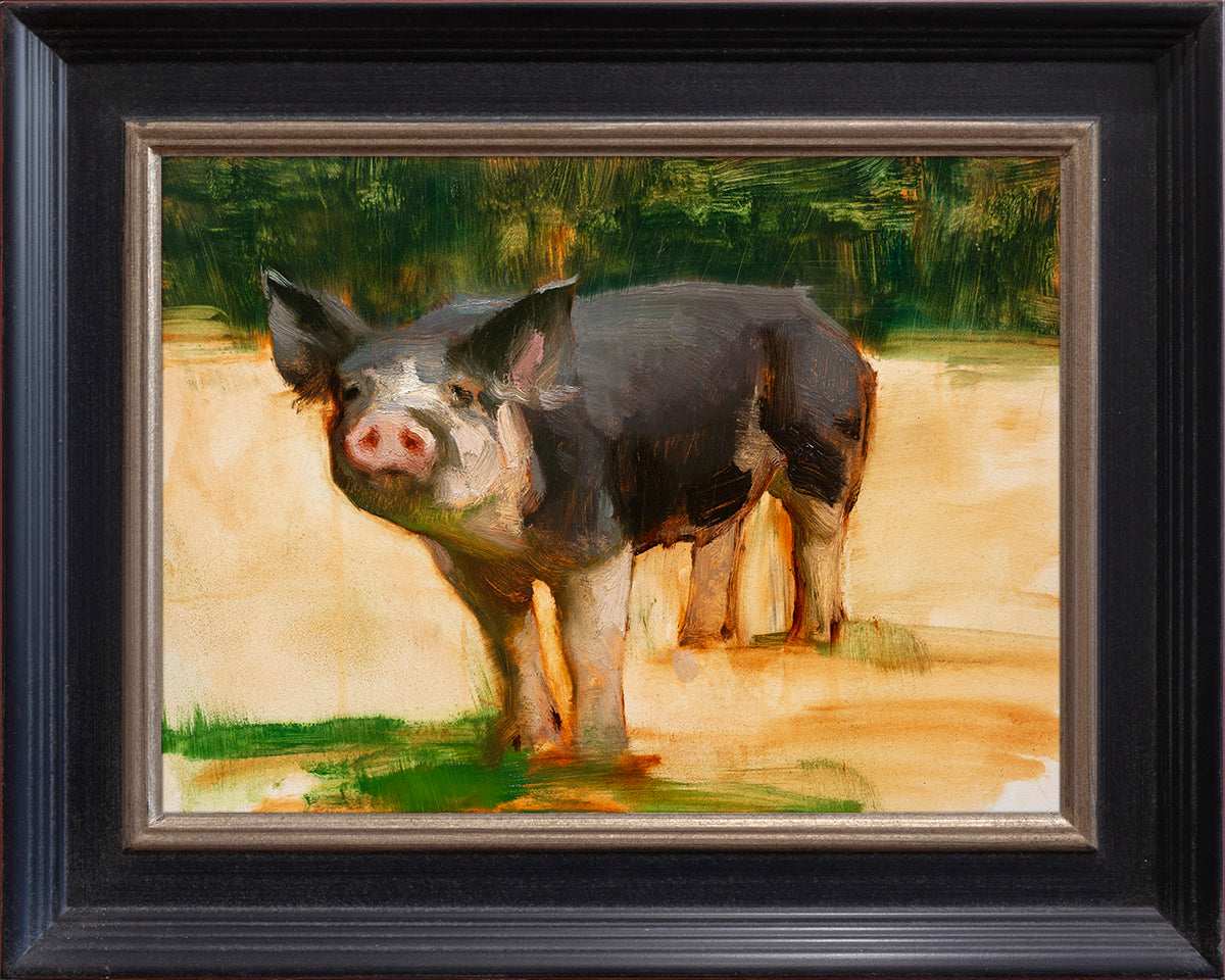 Sketch of Miriam's Pig